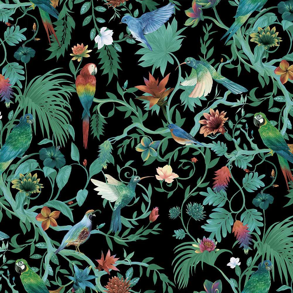 1000x1000 Timeless Design Tropical Birds Day Delivery. Designer Wallpaper ™
