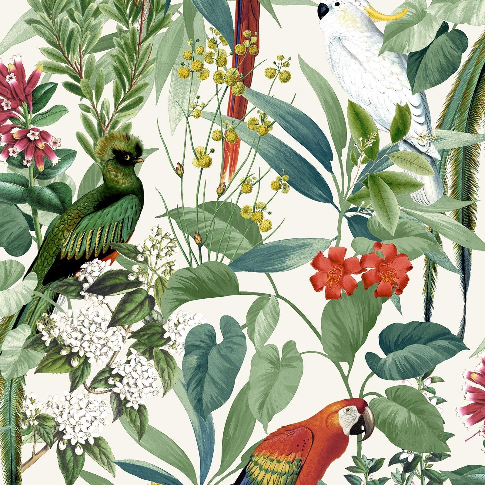 1600x1600 Ikala Bold Colorful Tropical Leaf Birds White Orange Green Parrots Wallpaper Bedroom Feature Wall Wallpaper White World of Wallpaper AF0006
