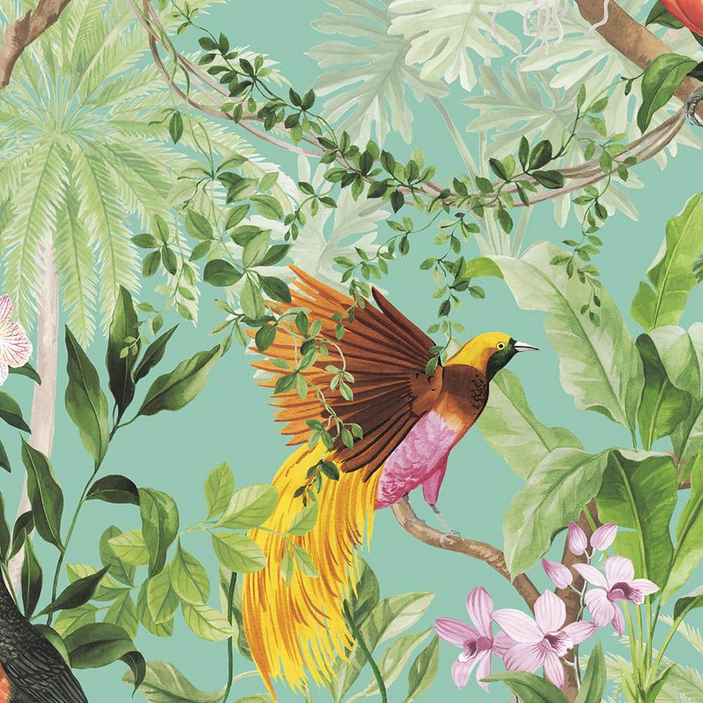 1000x1000 NextWall Tropical Bird Peel and Stick Aqua Wallpaper