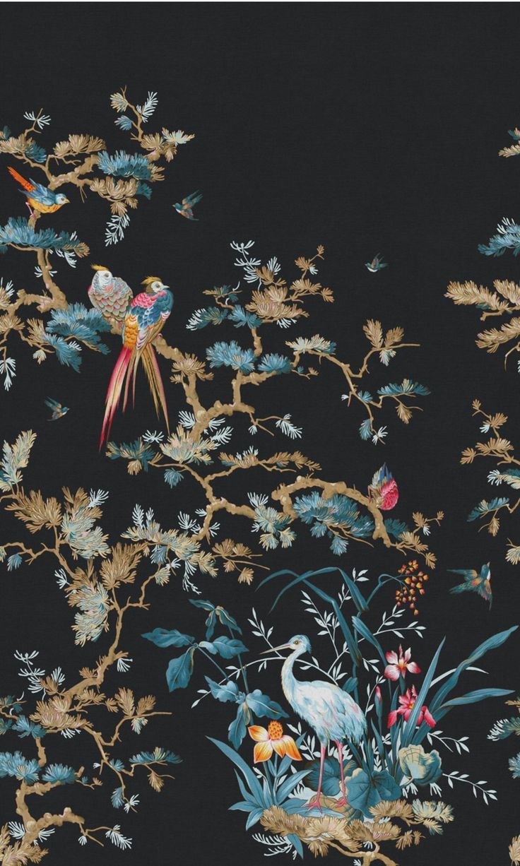 736x1226 Black Stork & Exotic Birds Tropical Wallpaper RM2098