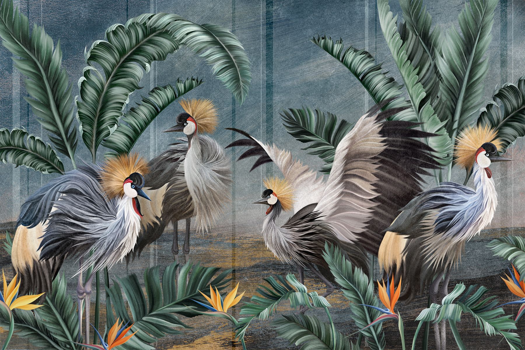 1800x1200 Wallpaper exotic birds Cabird
