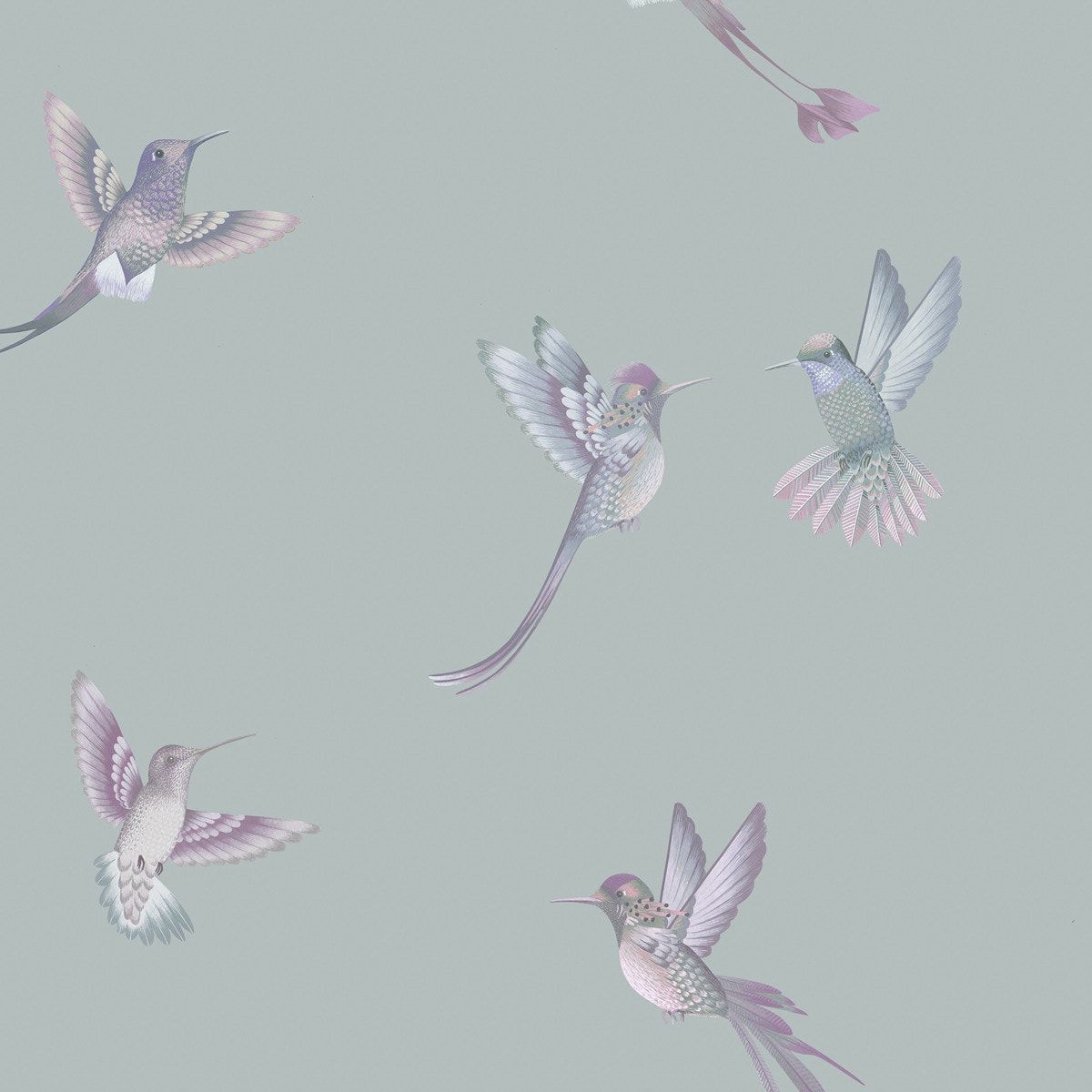 1200x1200 Brand McKenzie Birds Wallpaper