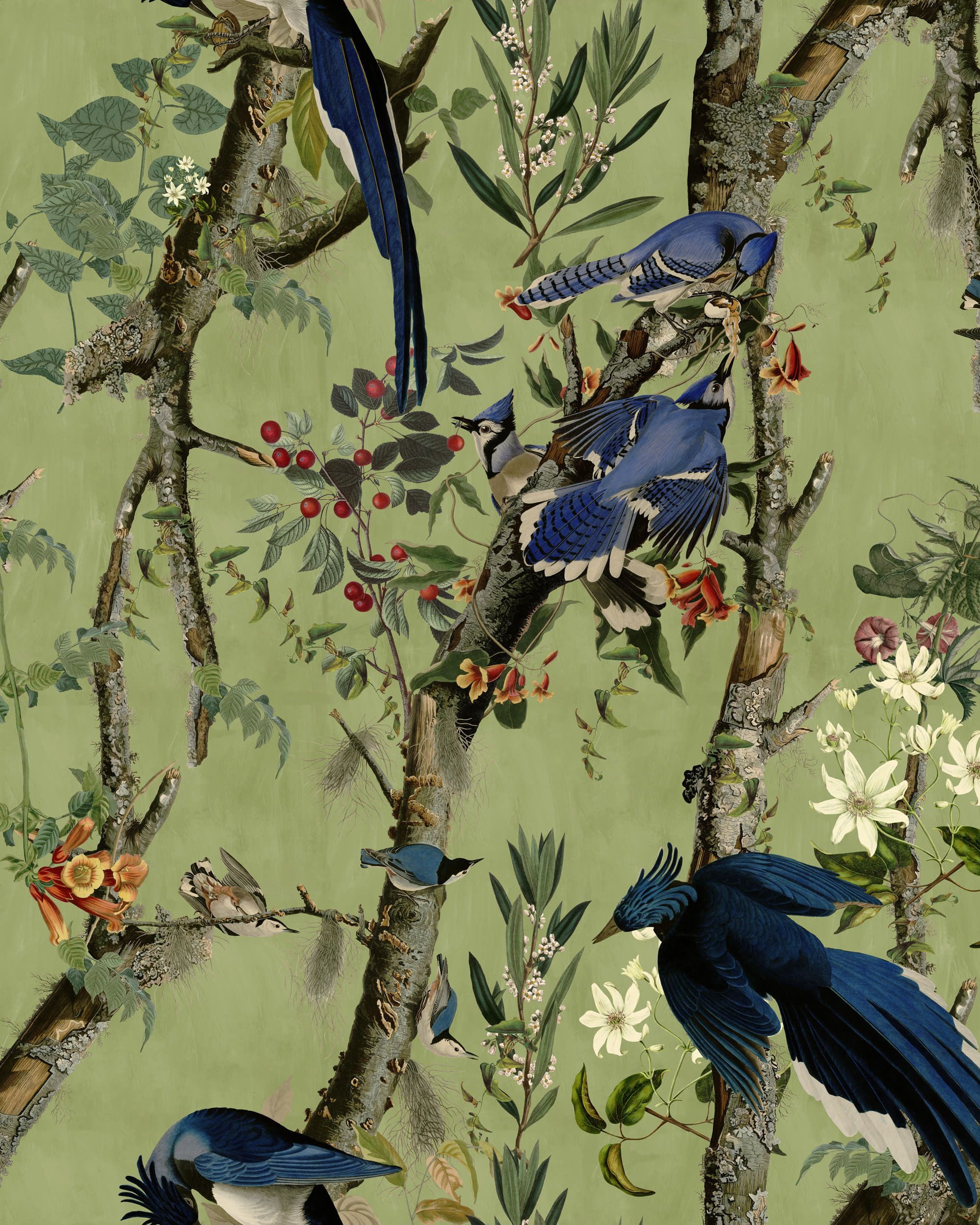 2000x2500 BIRDS OF DANUBE Wallpaper