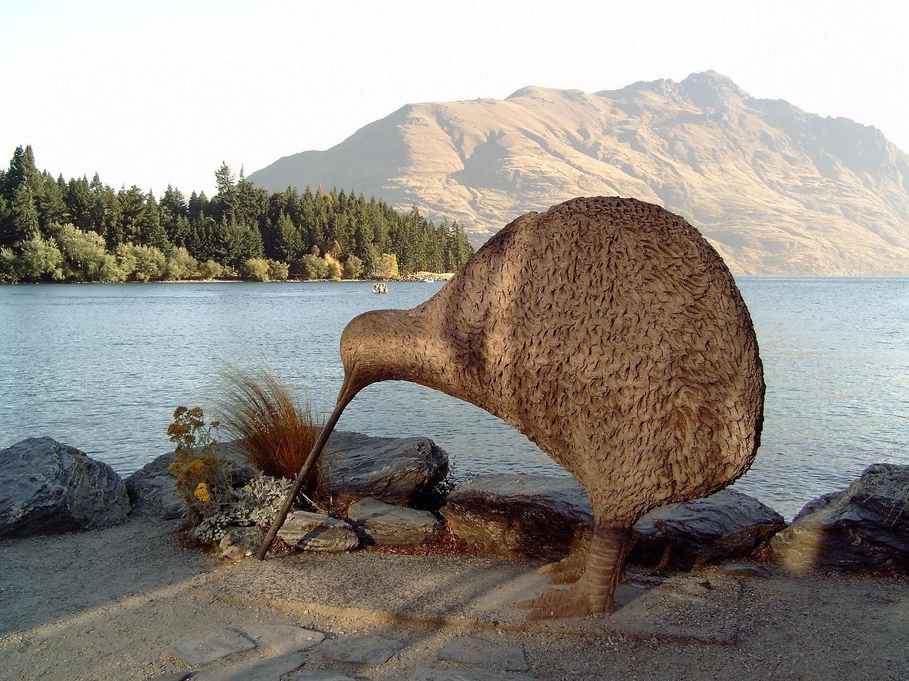 1280x959 New Zealand Kiwi Queenstown