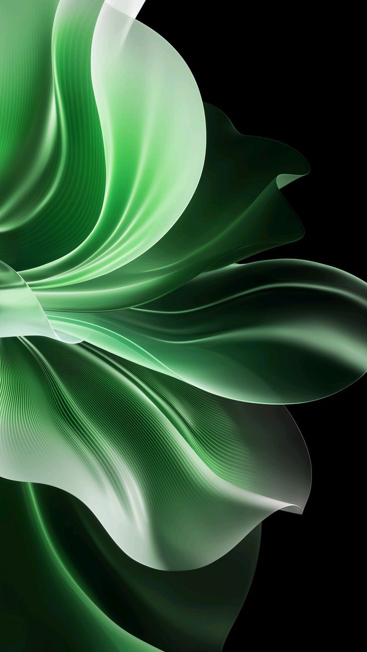 736x1308 OPPO Reno 11 Pro Wallpaper