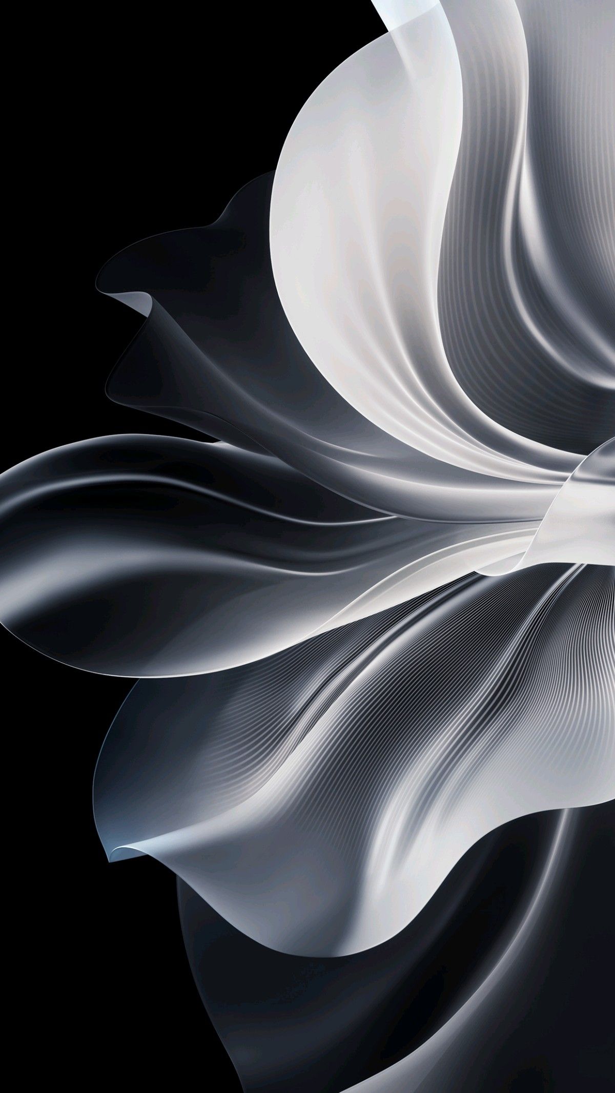 1200x2133 Oppo Reno 11 Wallpaper