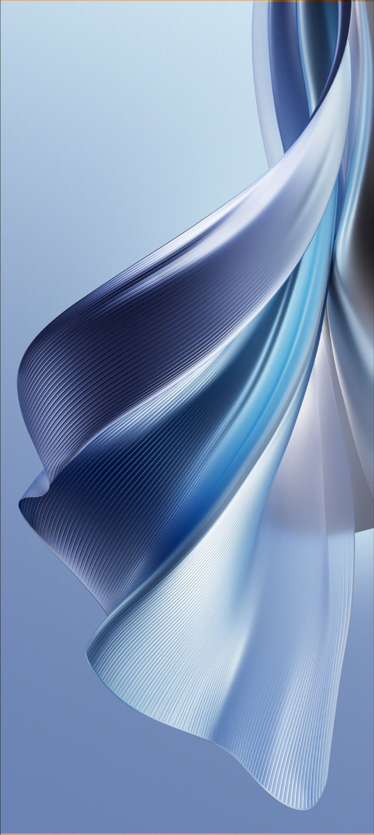 1240x2771 Oppo Reno 11 Wallpaper