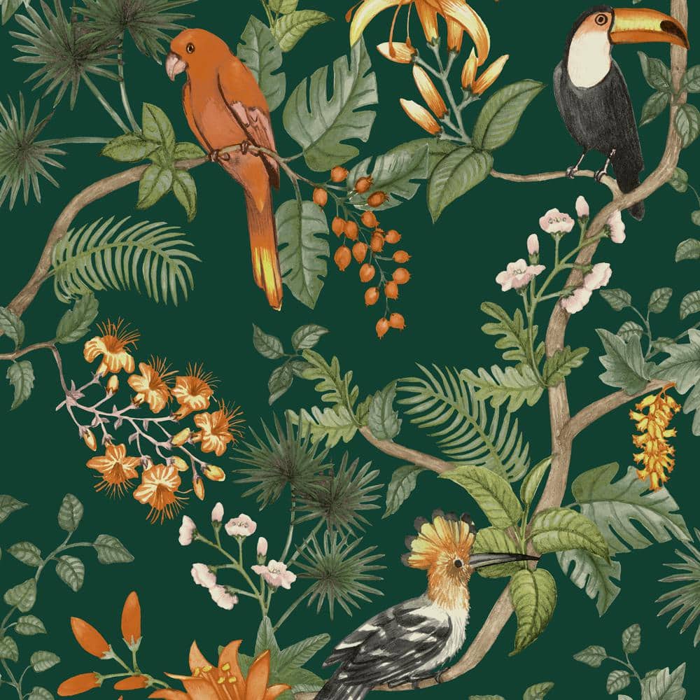 1000x1000 Tempaper Birds of Paradise Peel and Stick Wallpaper