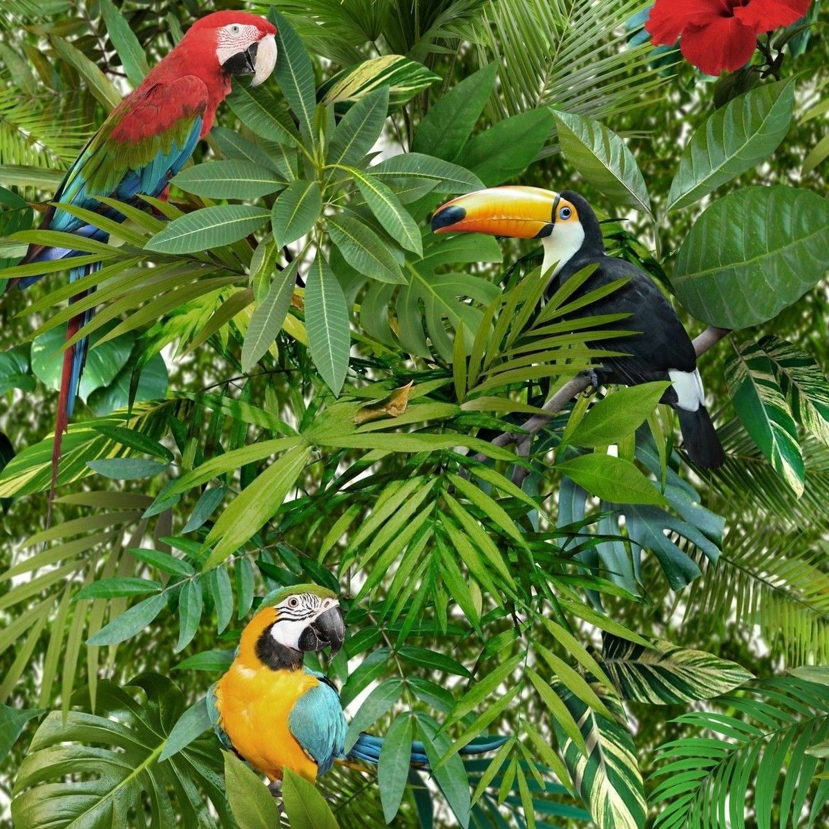1200x1200 Tropical Jungle Wallpaper Toucan Parrot Bird Pattern Flower Leaves Leaf Muriva
