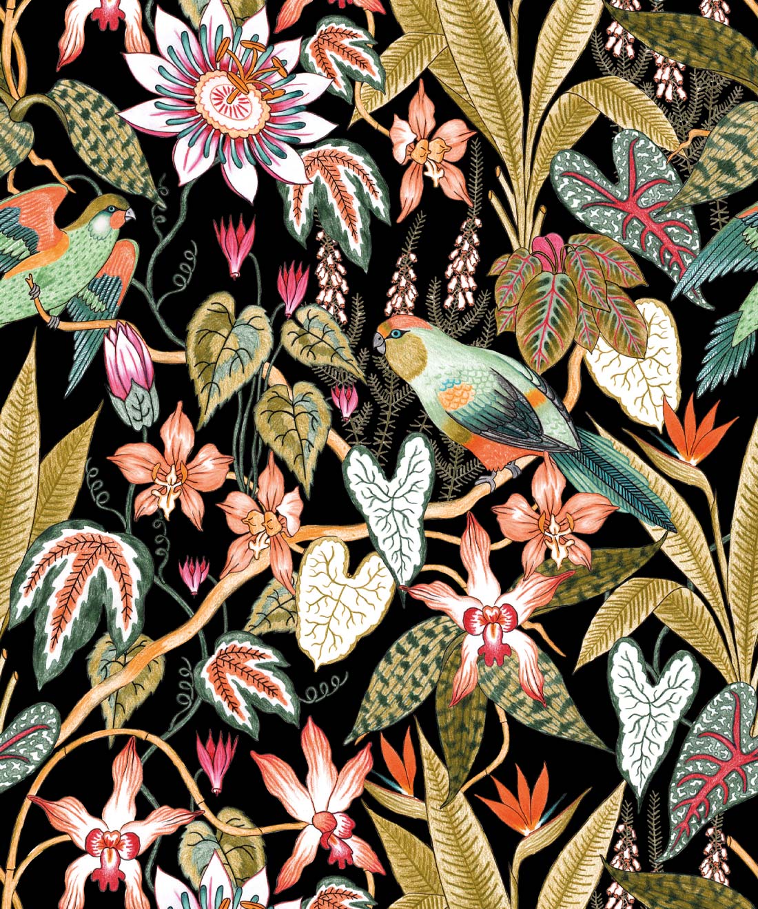 1100x1320 Parrot Jungle Wallpaper • Tropical Birds