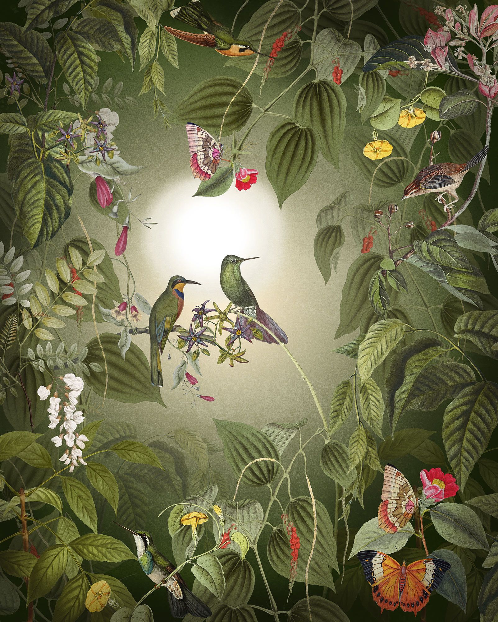 1603x2000 Wildlife Birds Jungle Birds. Komar®
