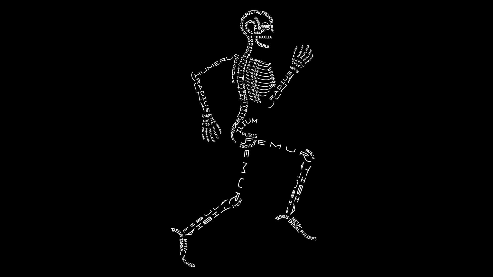 1920x1080 simple, Skeleton, Typography Wallpaper HD / Desktop and Mobile Background