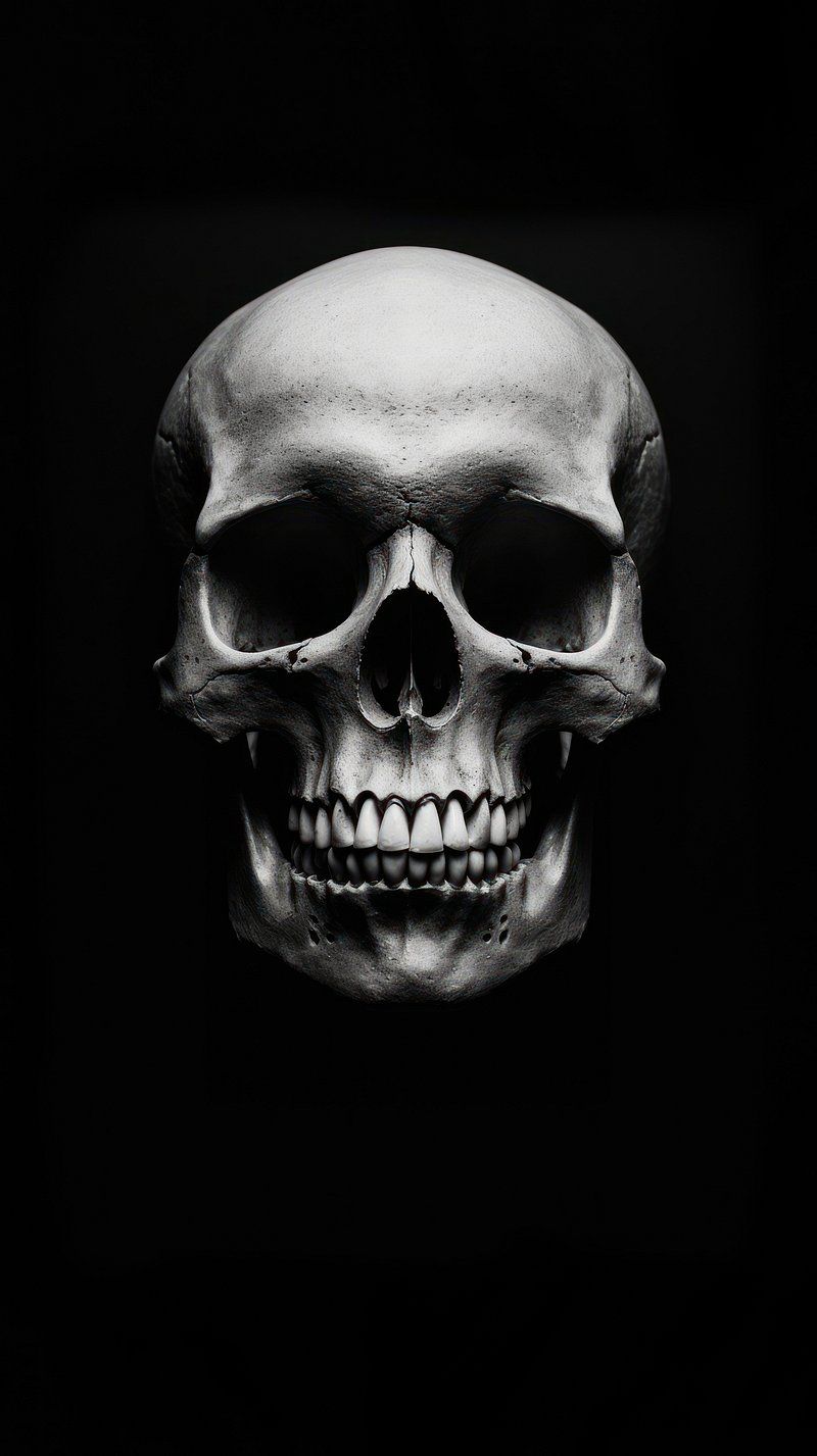 800x1427 Wallpaper Aesthetic Skull Image Wallpaper