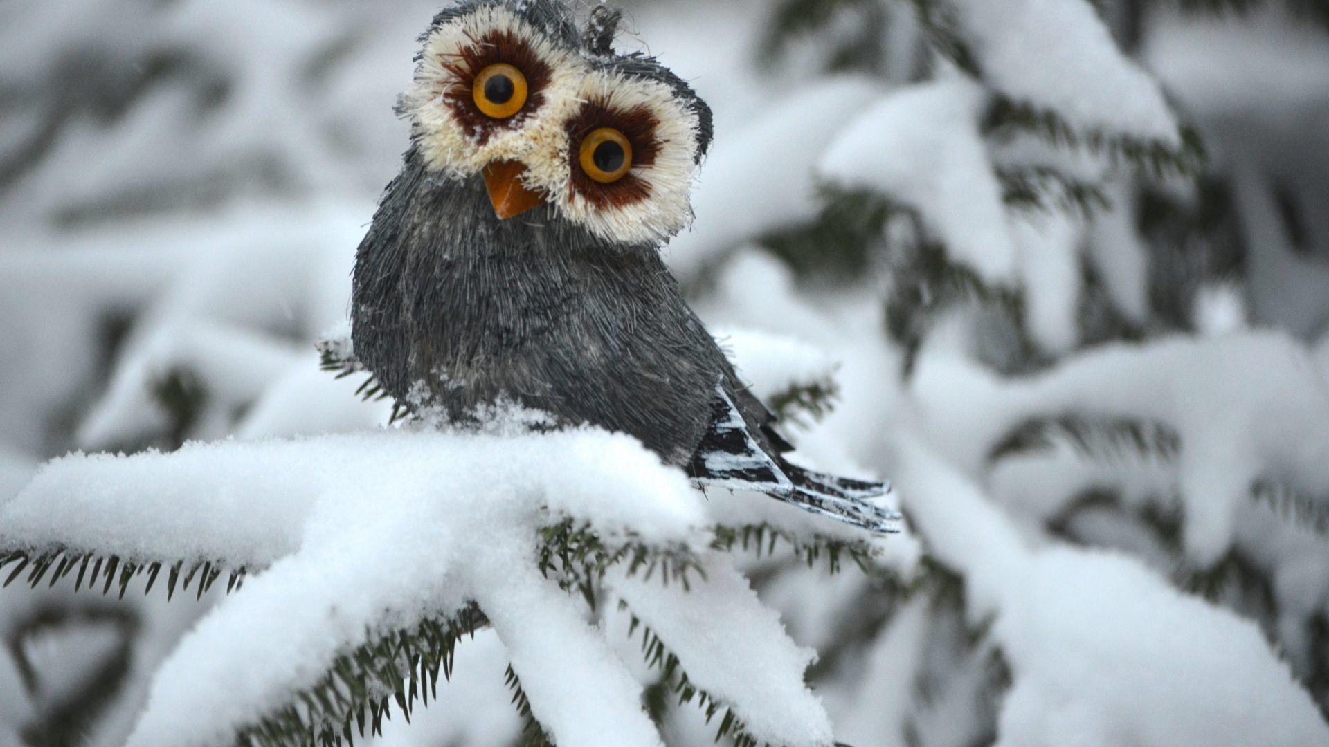 1920x1080 Owl Christmas wallpaper wallpaper Collections