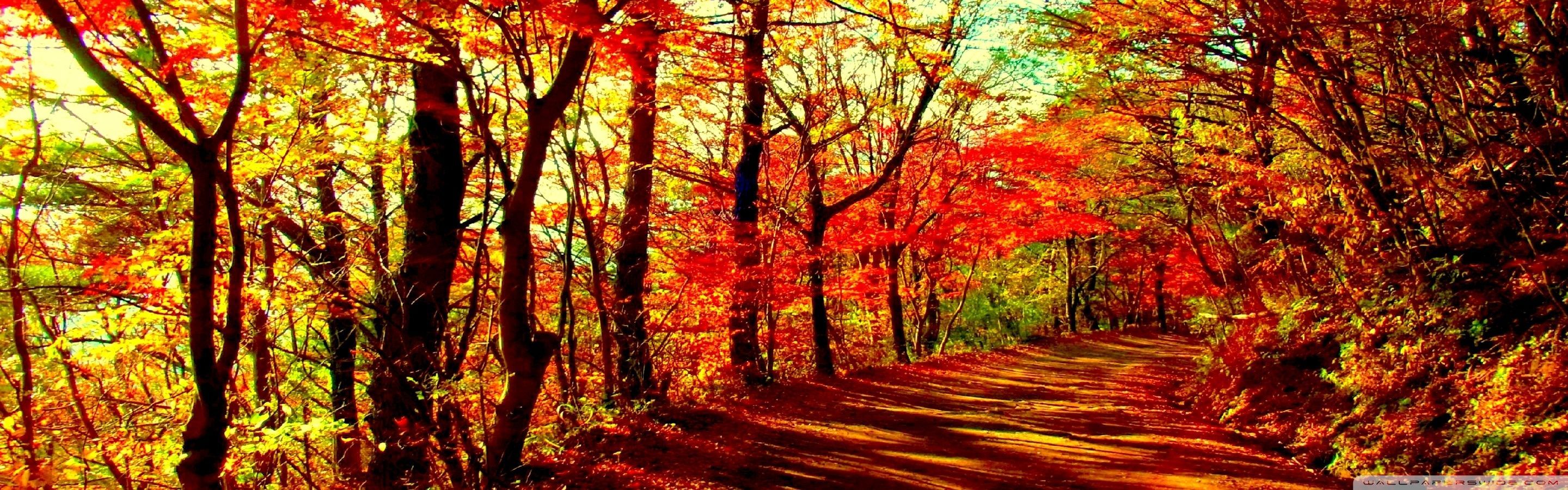 2880x900 Autumn Triple Monitor Wallpaper