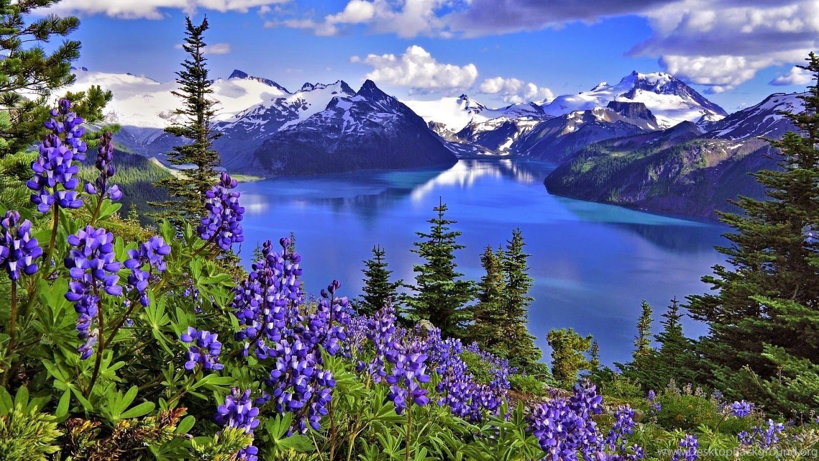1600x900 Garibaldi Lake Wallpaper 113920