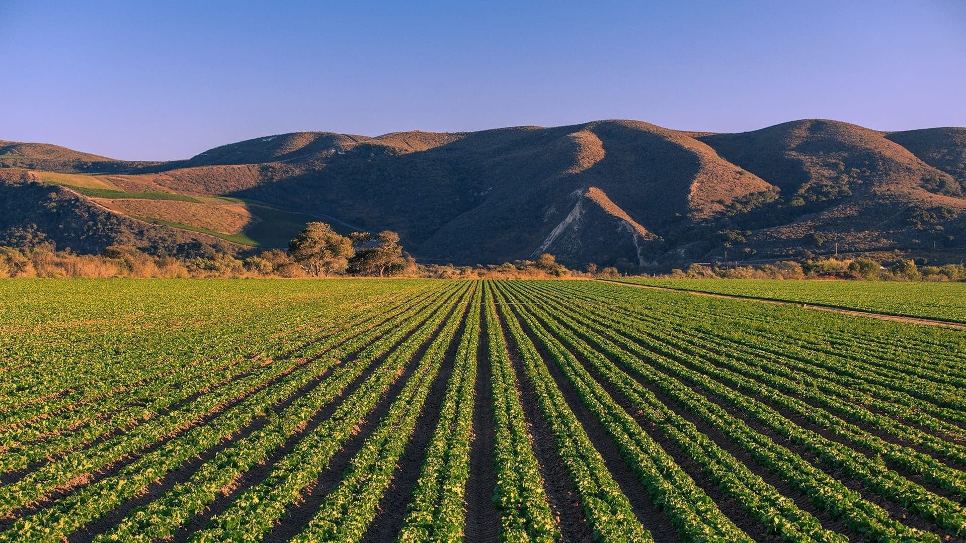 1920x1080 Top Rated Day Trips From San Luis Obispo, CA
