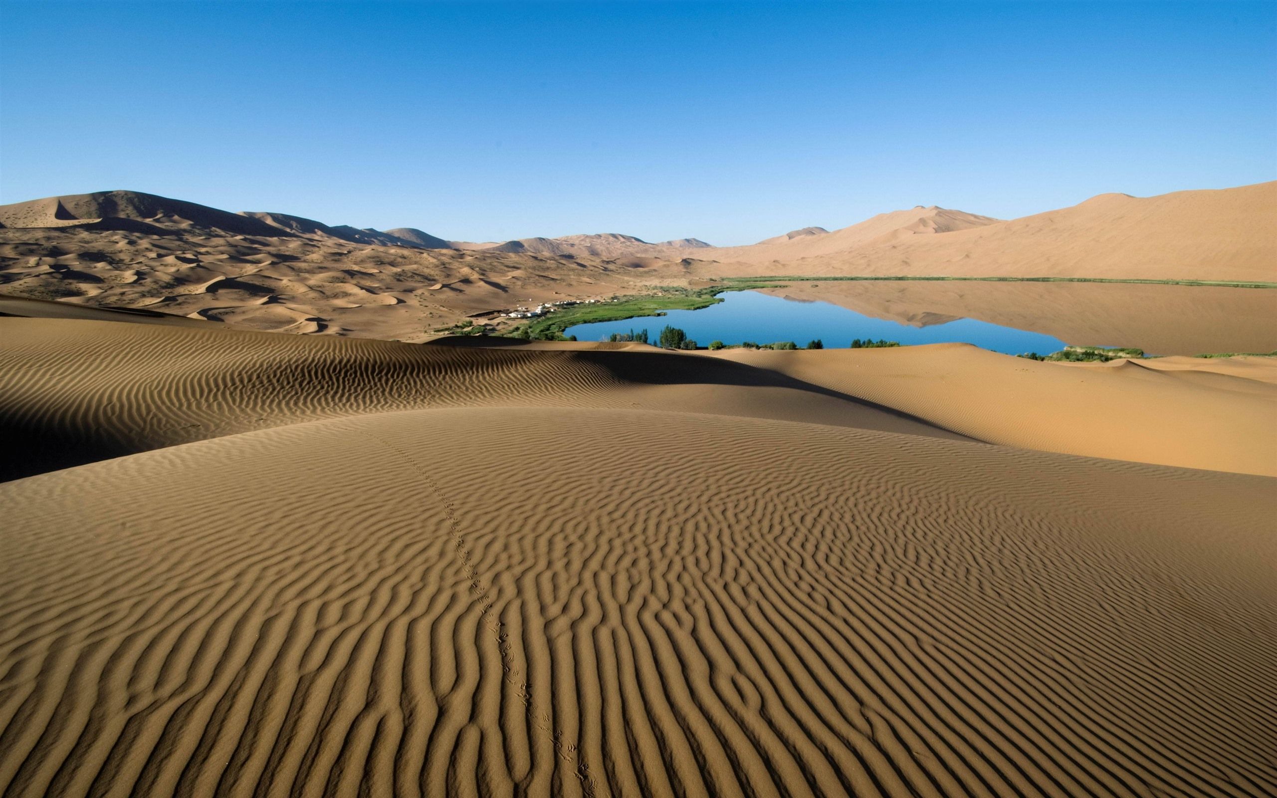 2560x1600 Wallpaper Desert, lake, oasis 3840x2160 UHD 4K Picture, Image