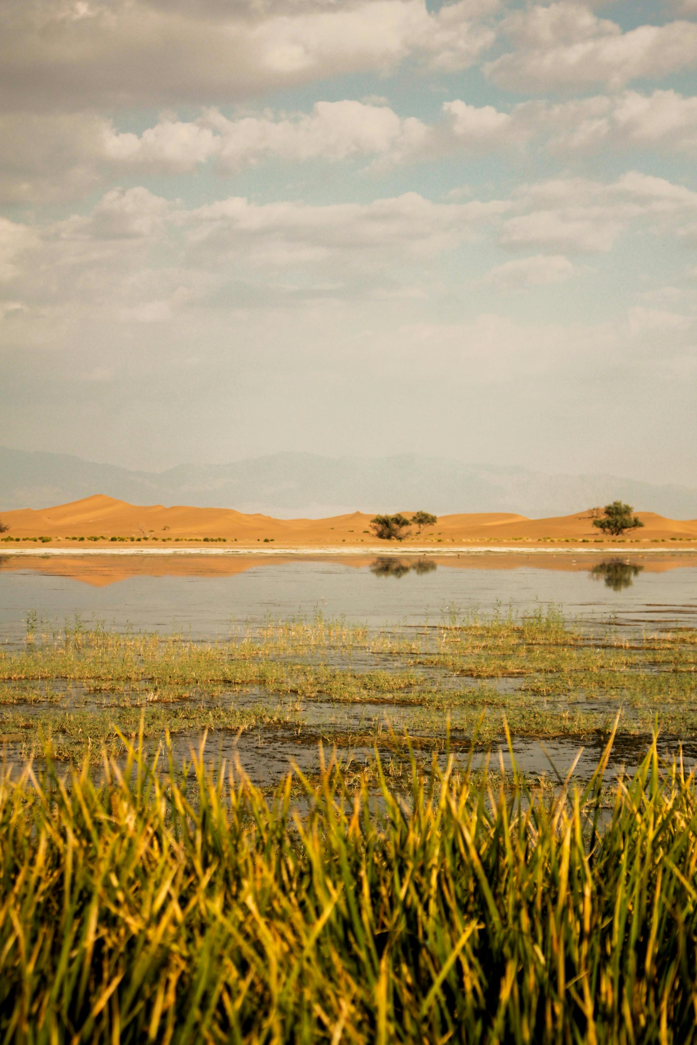 2245x3367 Arid Ground by a Lake in Northwestern China · Free