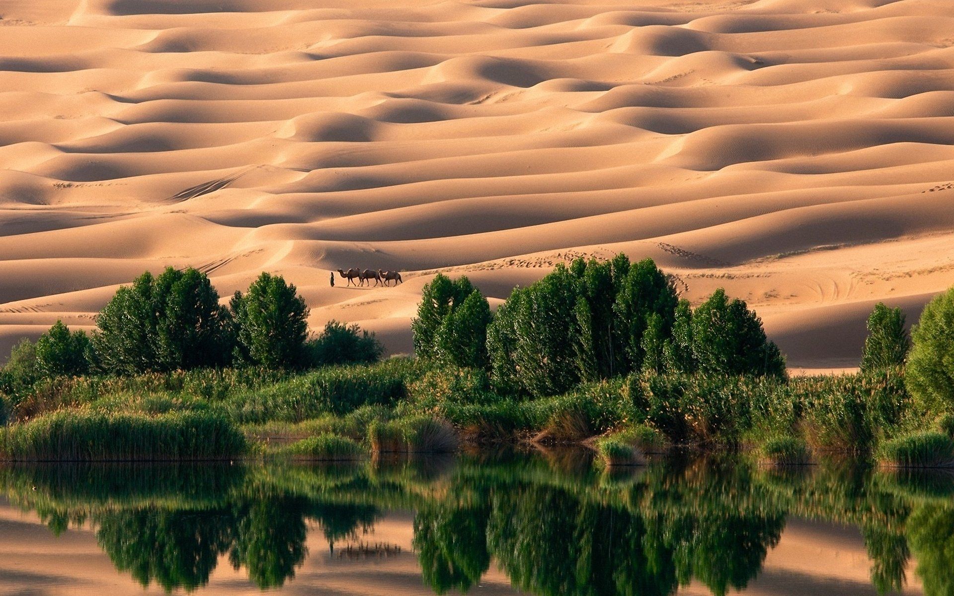 1920x1200 Download Nature Desert HD Wallpaper
