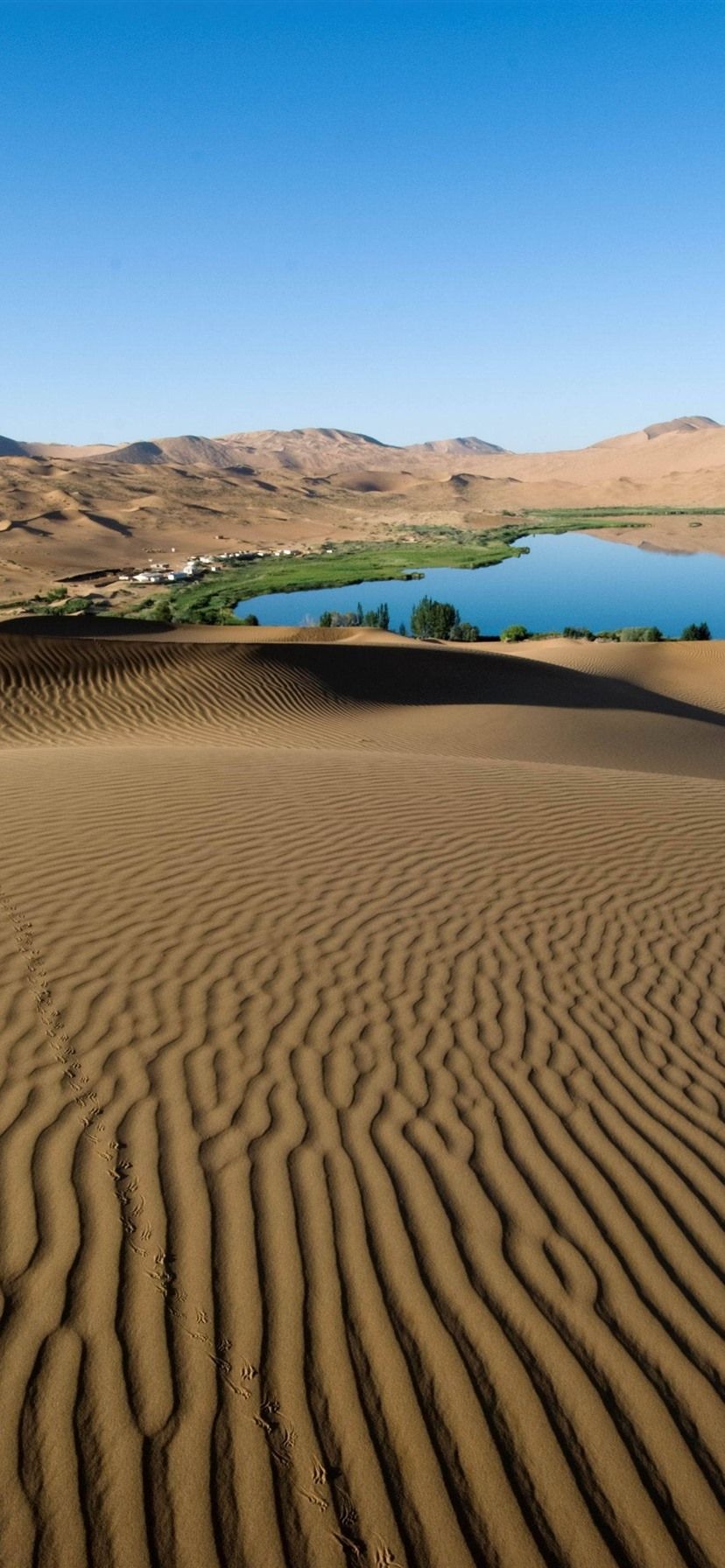 828x1792 Wallpaper Desert, lake, oasis 3840x2160 UHD 4K Picture, Image