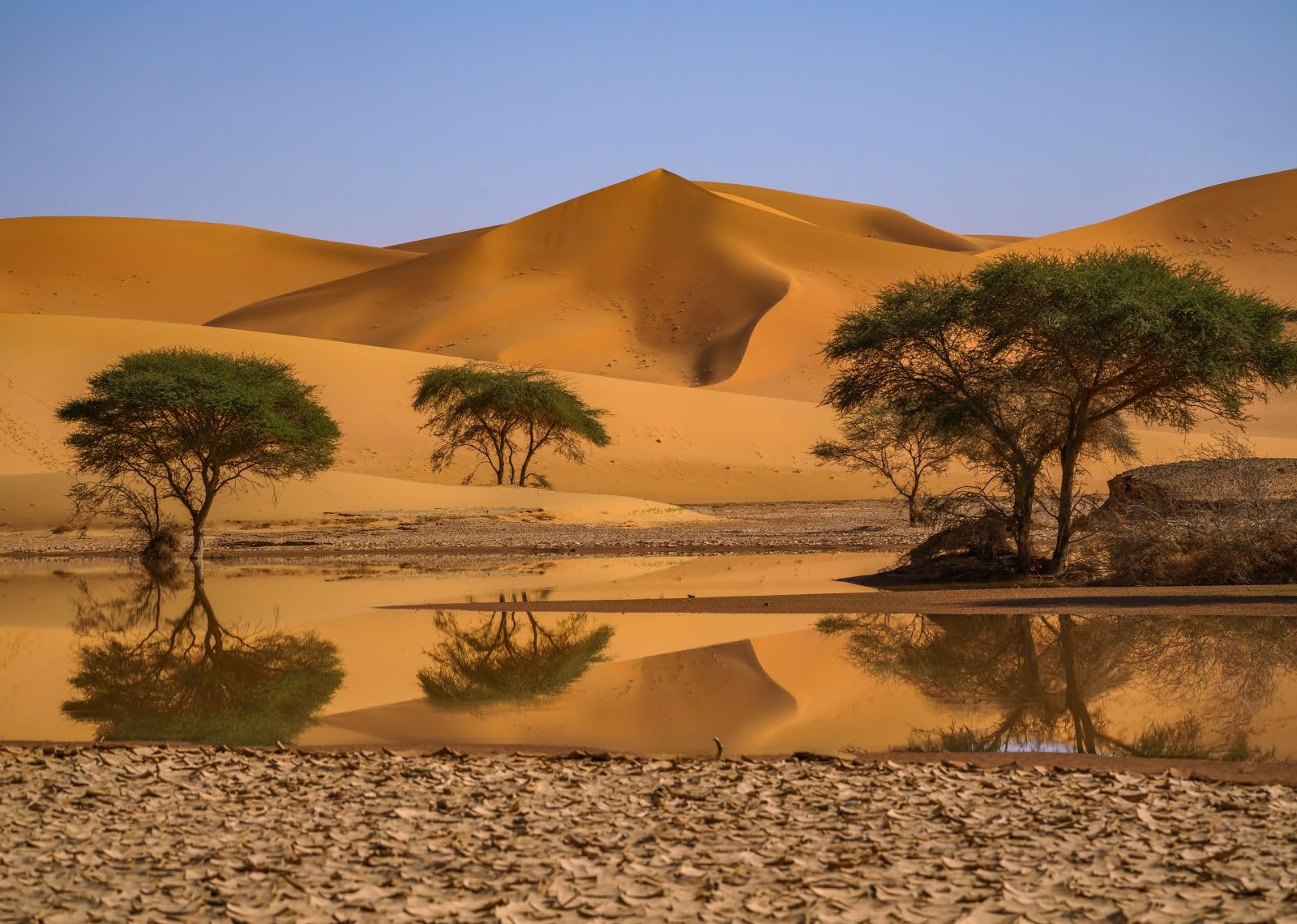 1600x1140 Amazon.com : CHNYWORK 7ftx5ft Sahara Desert Backdrop Africa Algeria Desert Oasis Lake Trees Sand Dunes Landscape Background Desert Travel Birthday Themed Party Decorations Photo Booth Studios Props