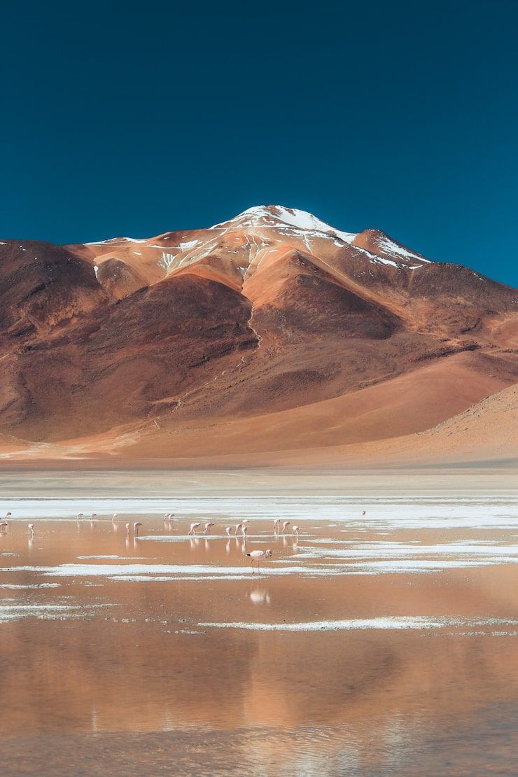 740x1110 iPhone 15 desert wallpaper Image