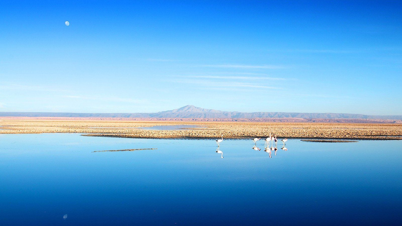 1600x900 water, Chile, Blue, Mountains, Landscapes, Nature, Birds, Calm, Flamingos, Lakes, Salt, Flats, Andes, Atacama, Desert, Salar, De, Atacama Wallpaper HD / Desktop and Mobile Background
