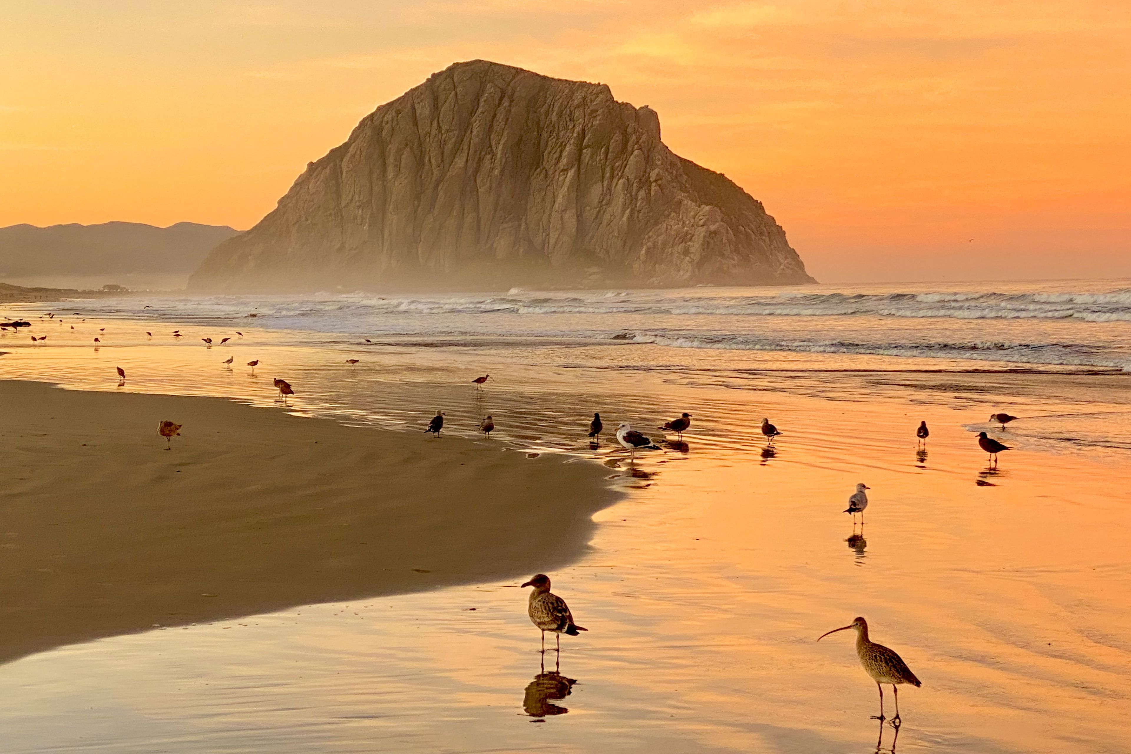 3840x2560 Matt DeGrushe Photography Bay Photo