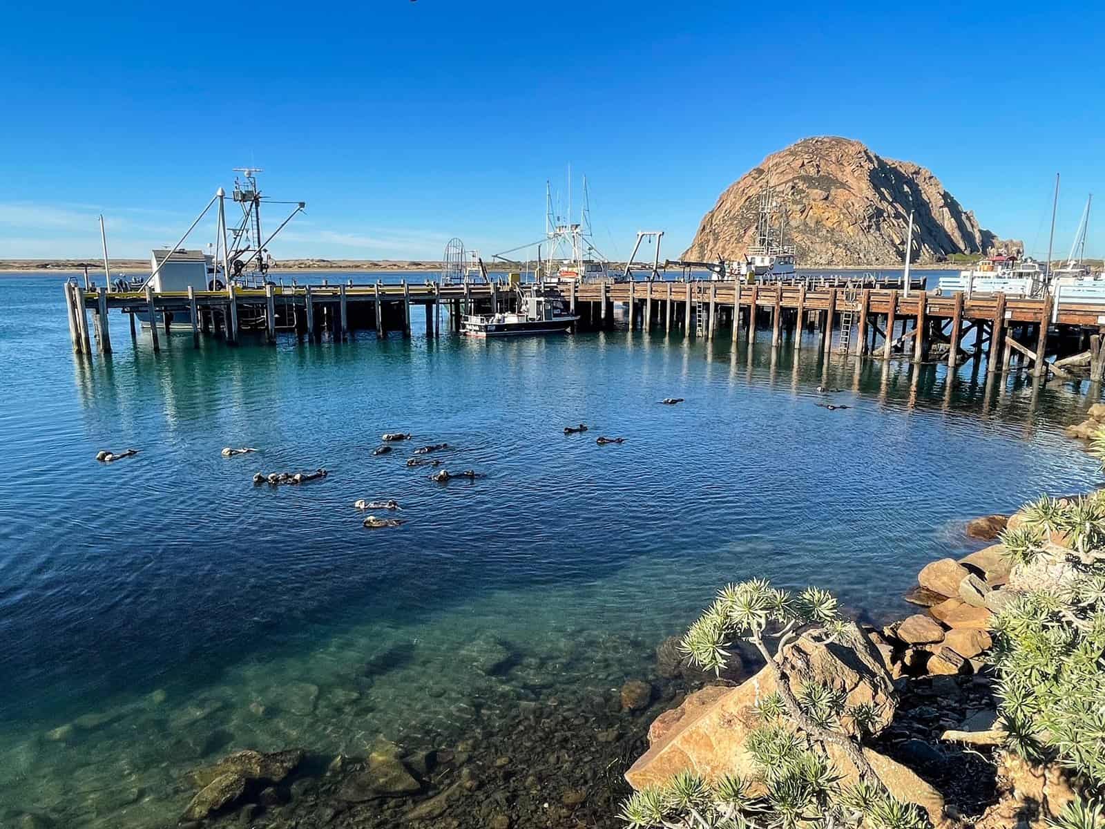 1600x1200 Fun Things To Do In Morro Bay, California's Hidden Gem