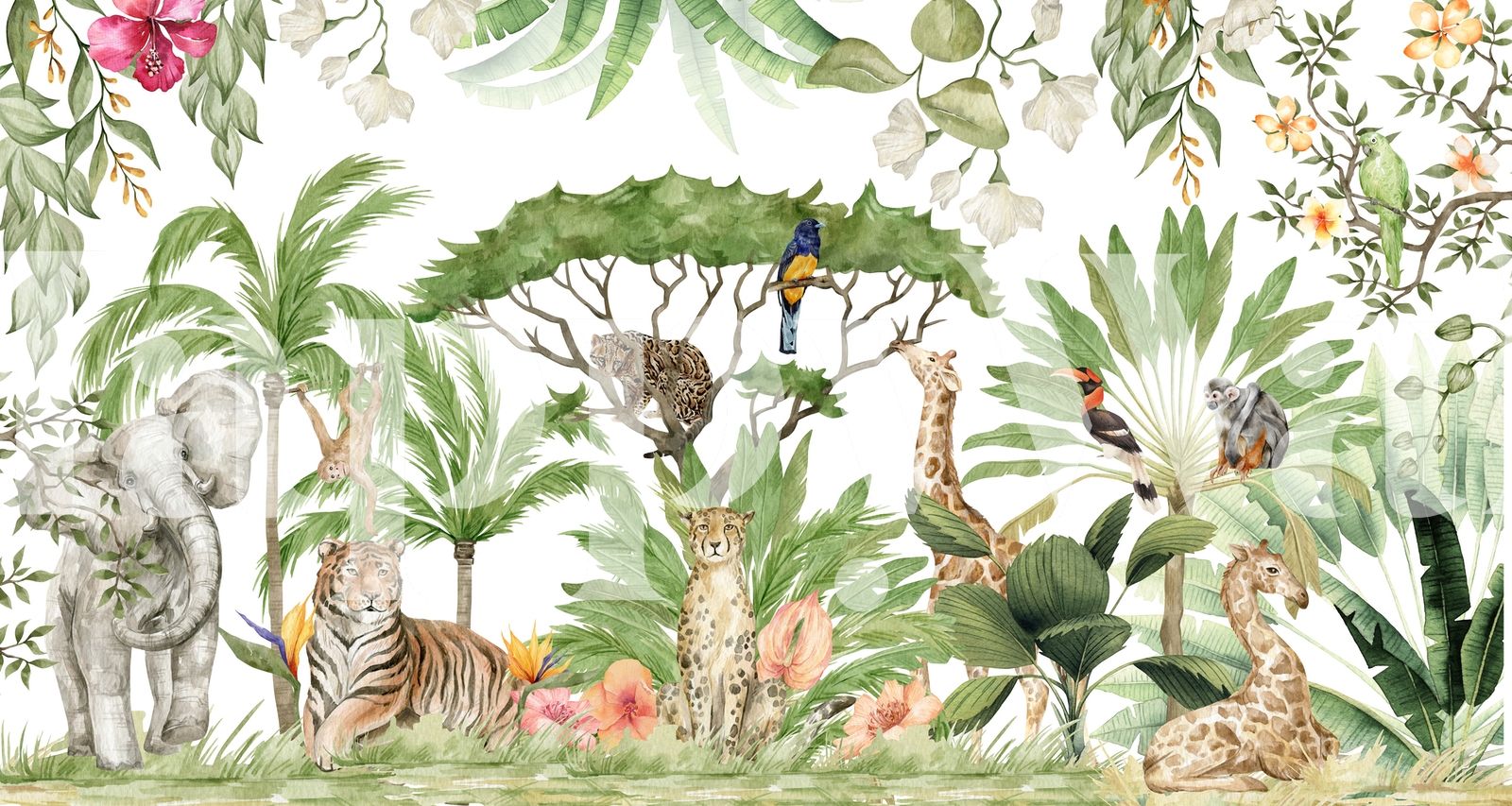 1600x853 Jungle and Wild Animals Wallpaper