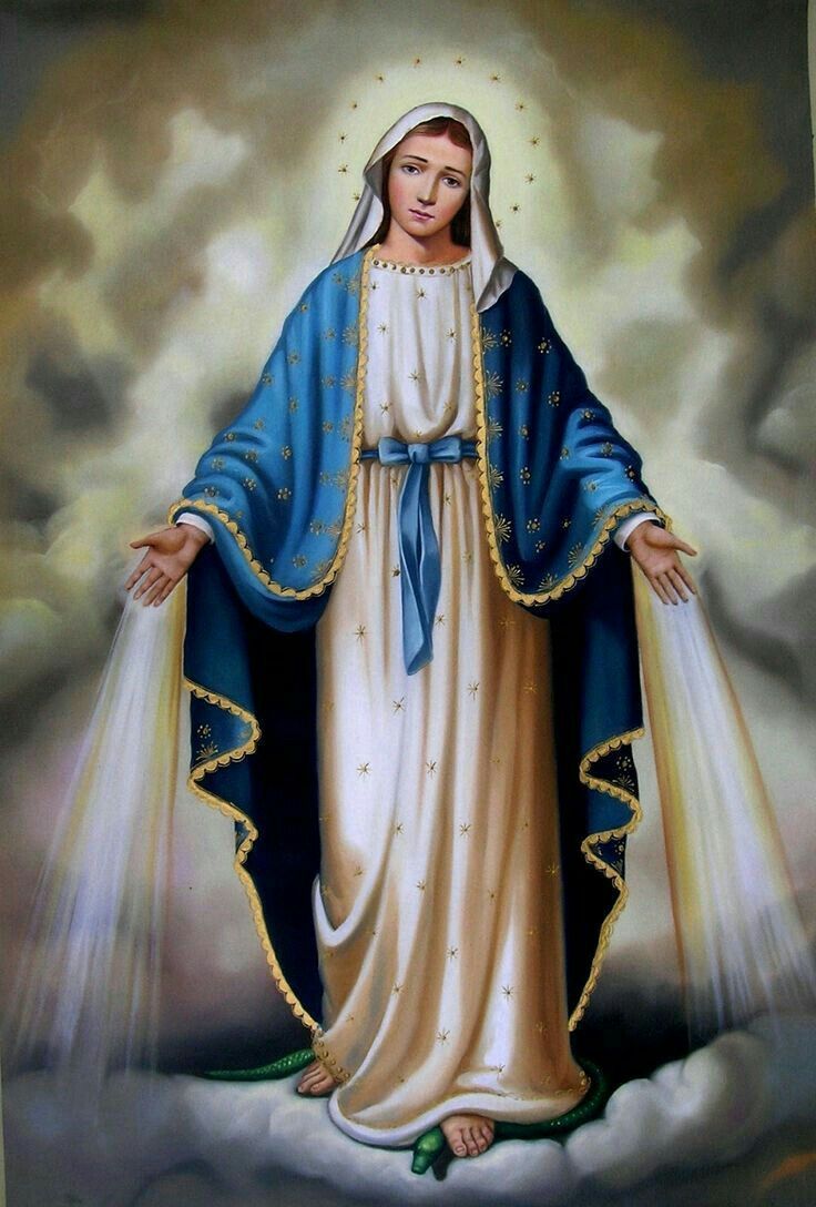 736x1088 Our lady of grace image. Mary our lady of grace