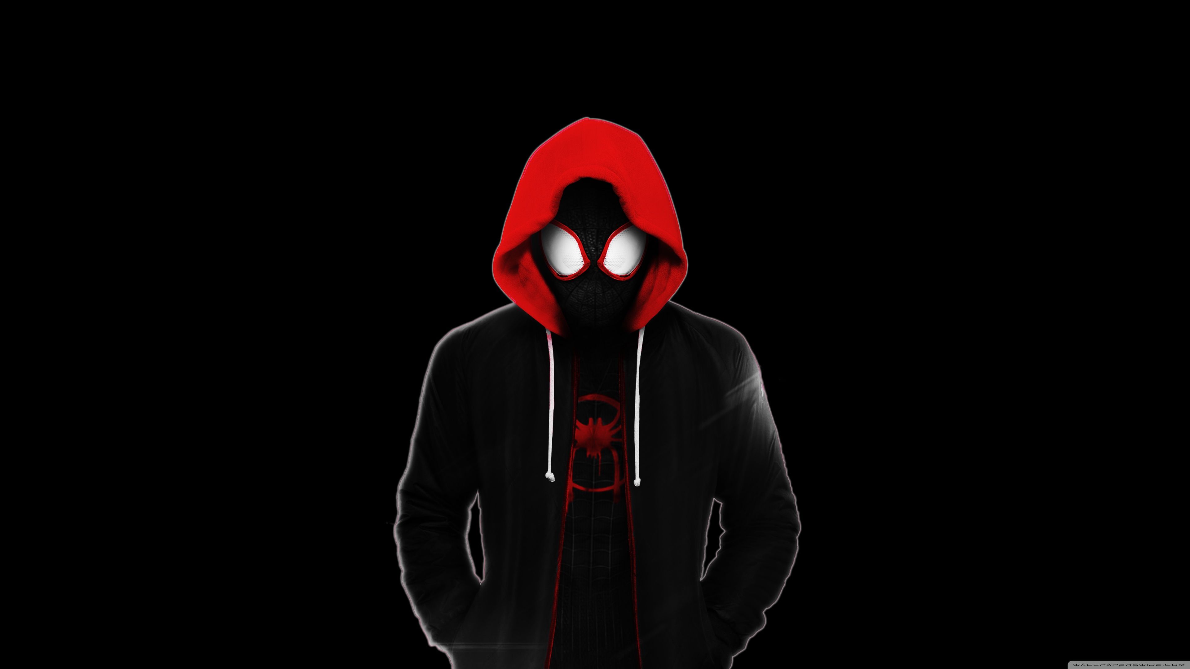3840x2160 Spider Man Into The Spider Verse Dark 4K UHD Wallpaper For UltraHD Desktop And TV : Widescreen And UltraWide Display : Dual Monitor : Smartphone And Tablet Devices