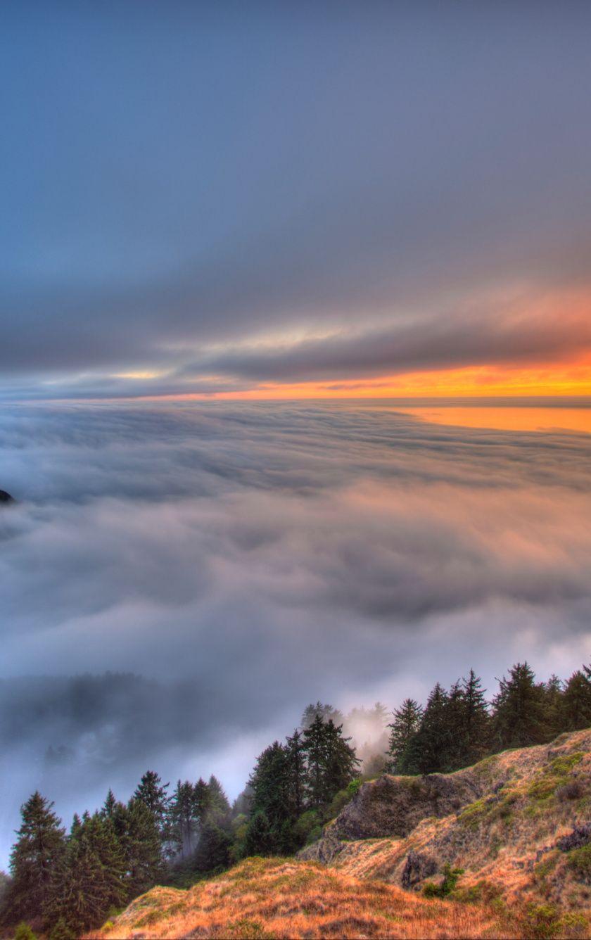 840x1336 Download Sea of clouds, sky, sunset, nature wallpaper, 840x1336
