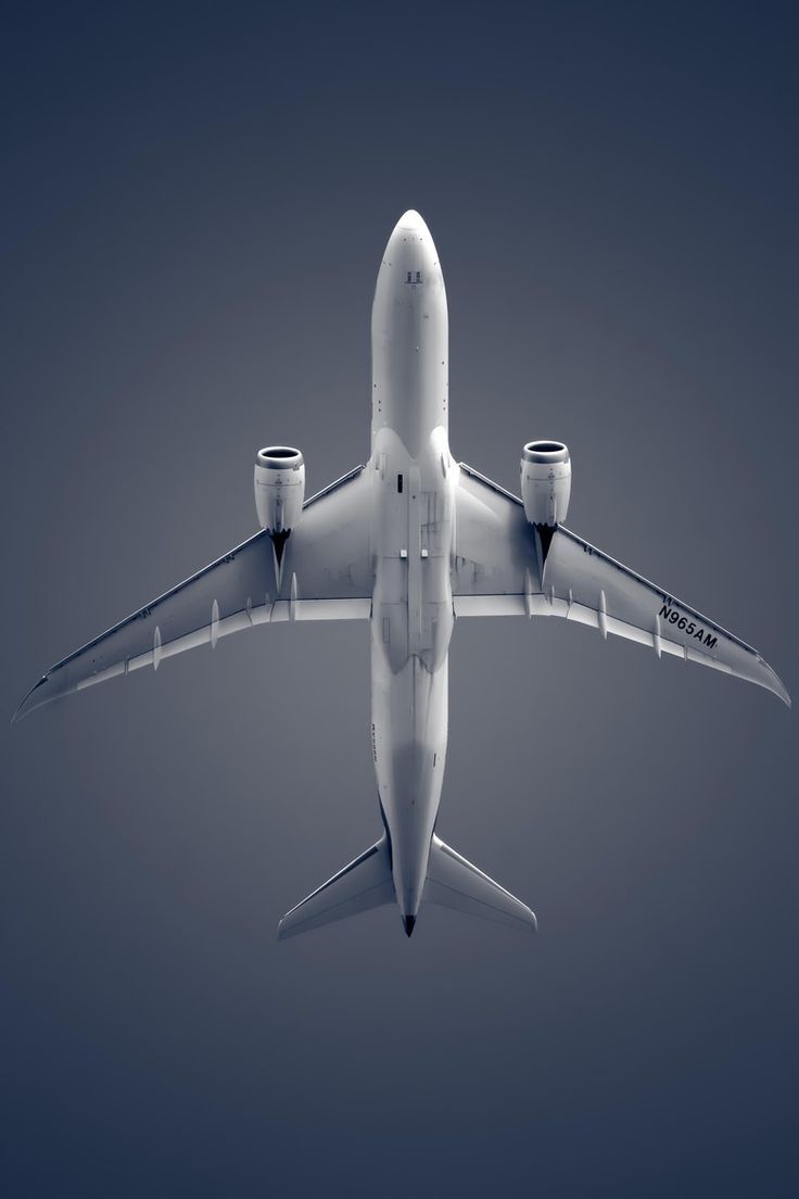 736x1104 AeroMexico 787