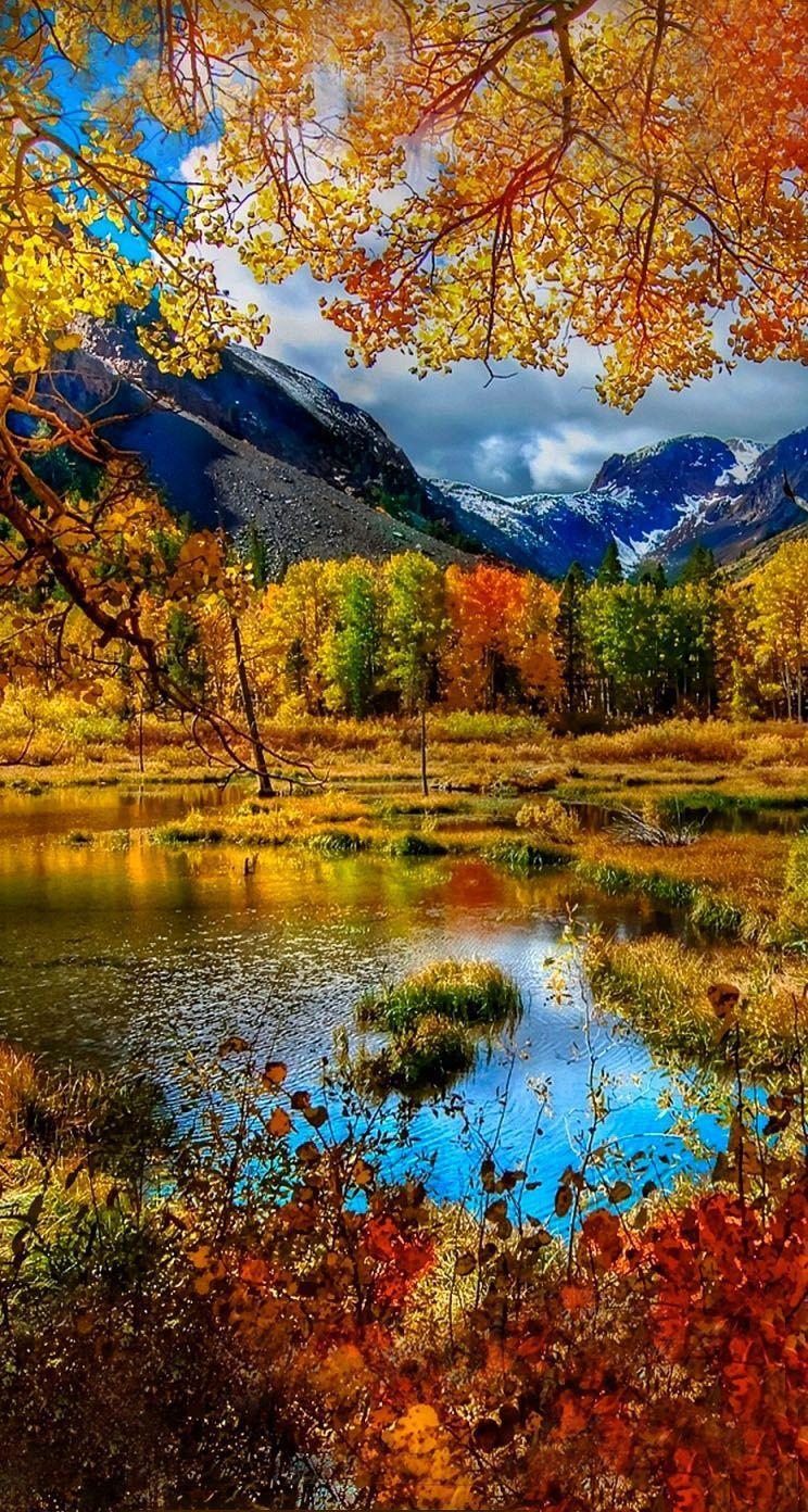 744x1392 Autumn Wallpaper iPhone