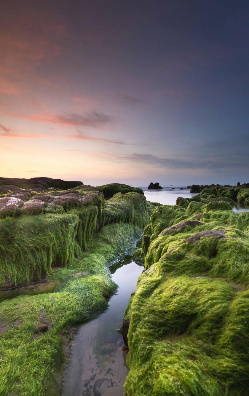 840x1336 Download 840x1336 wallpaper moss, stream, coast, nature, iphone 5