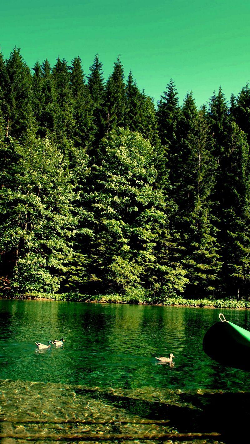 800x1420 Download wallpaper 800x1420 forest, river, boat, nature iphone se