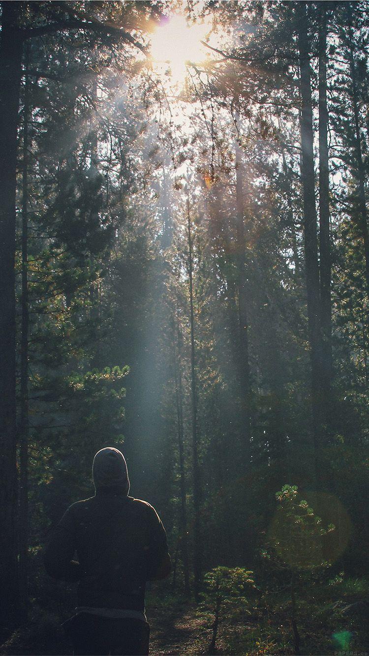 750x1334 Wood Running Mountain Nature Sunshine Green