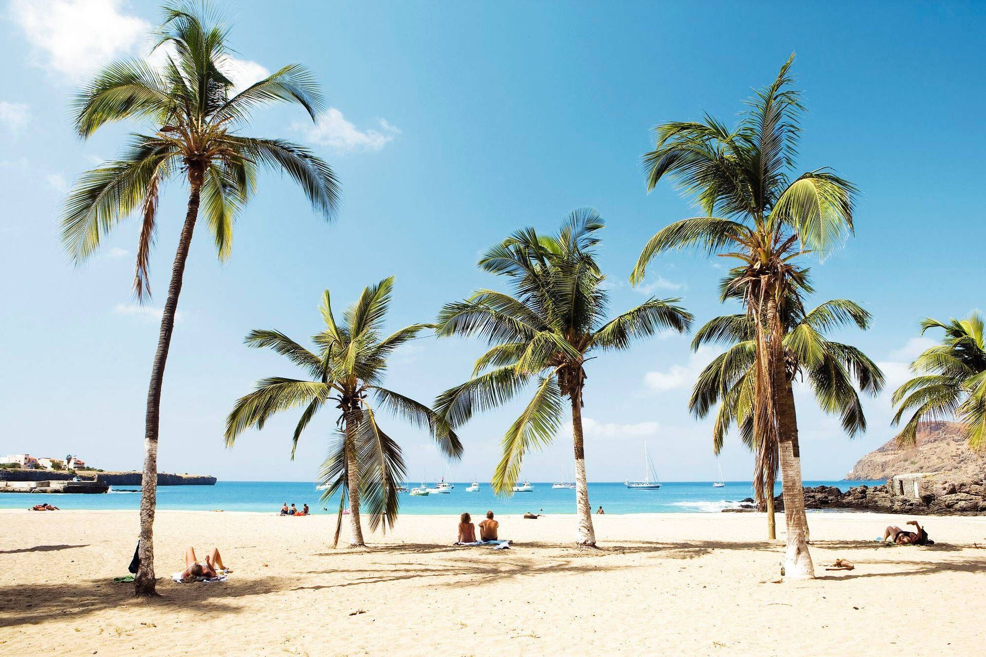 1920x1280 Download Palm Trees In Cape Verde Beach Wallpaper