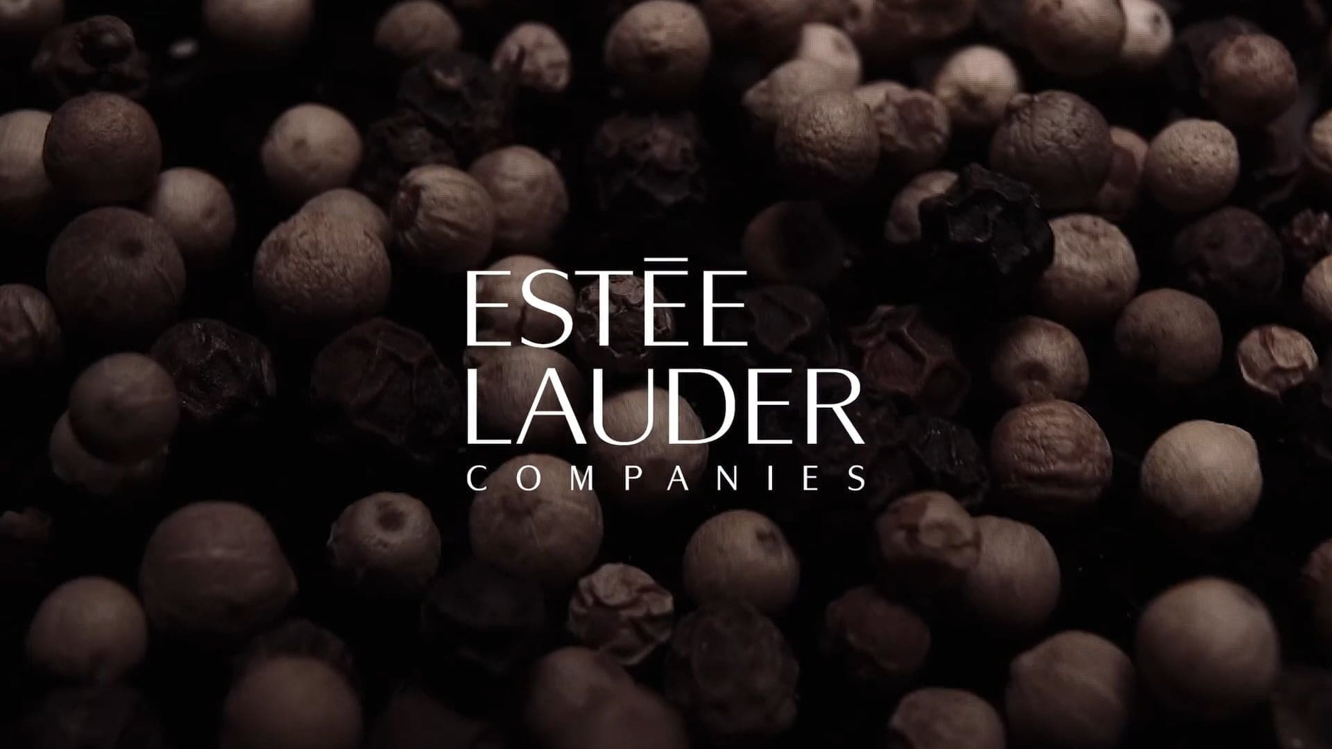 1920x1080 Estée Lauder X RIOT. Creative Agency & Production Studio
