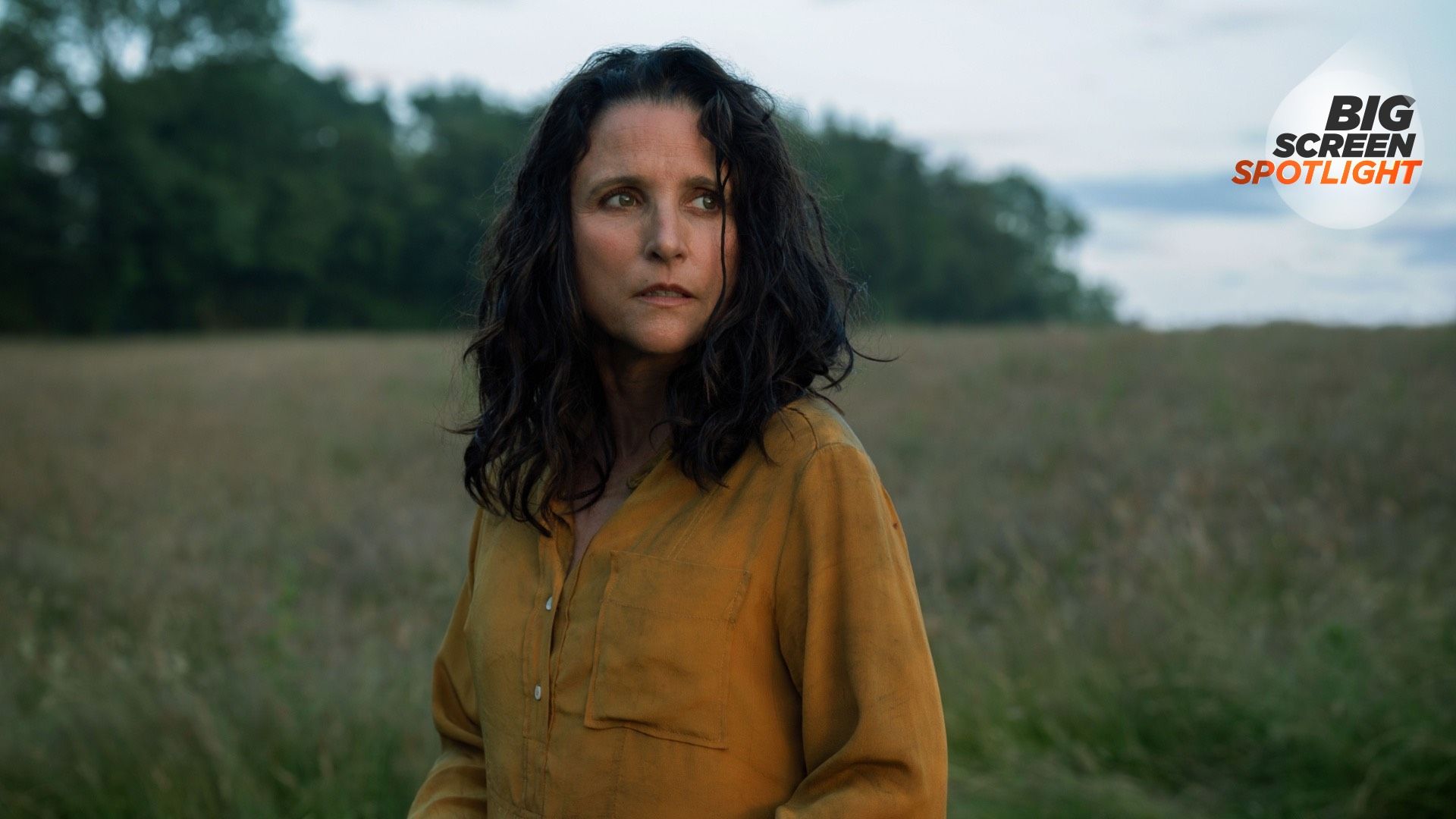 1920x1080 Julia Louis Dreyfus' New A24 Dark Comedy Is A Poignant Depiction Of Grief And Motherhood