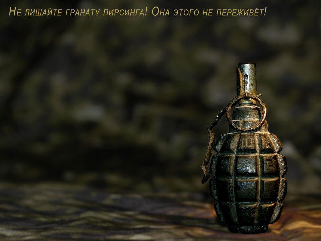 1024x768 Army Desktop Wallpaper