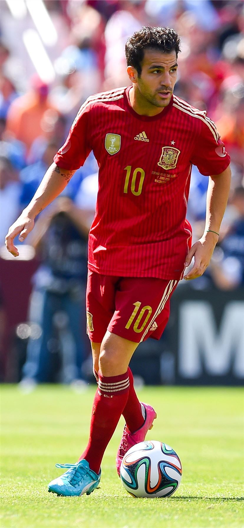 828x1792 Cesc Fabregas Spain iPhone 11 Wallpaper Free Download