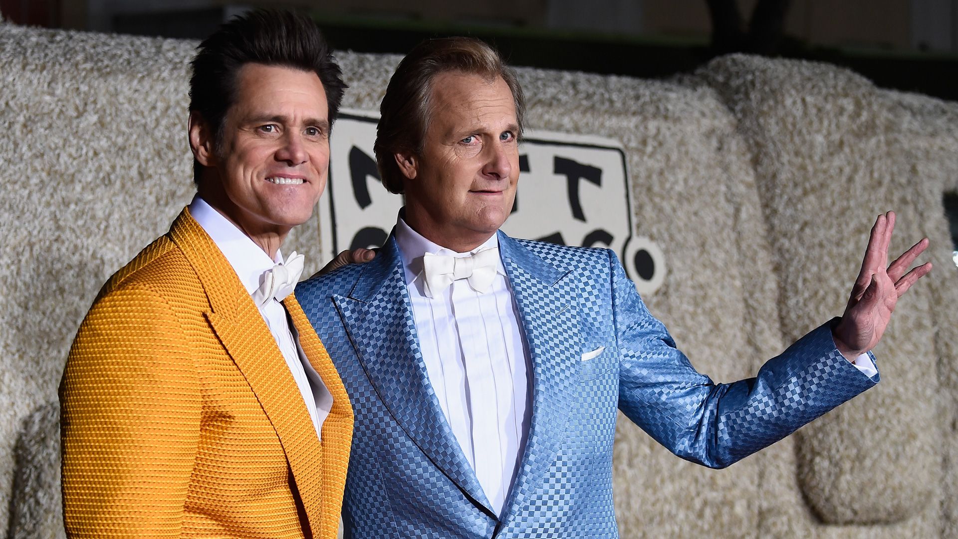 1920x1080 Jeff Daniels at 'Dumb and Dumber To' Premiere: On Board for Another Sequel