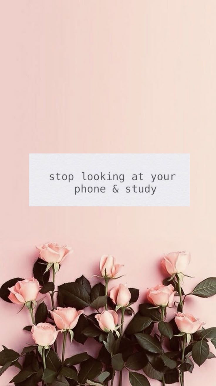 736x1314 Study Motivation Wallpaper
