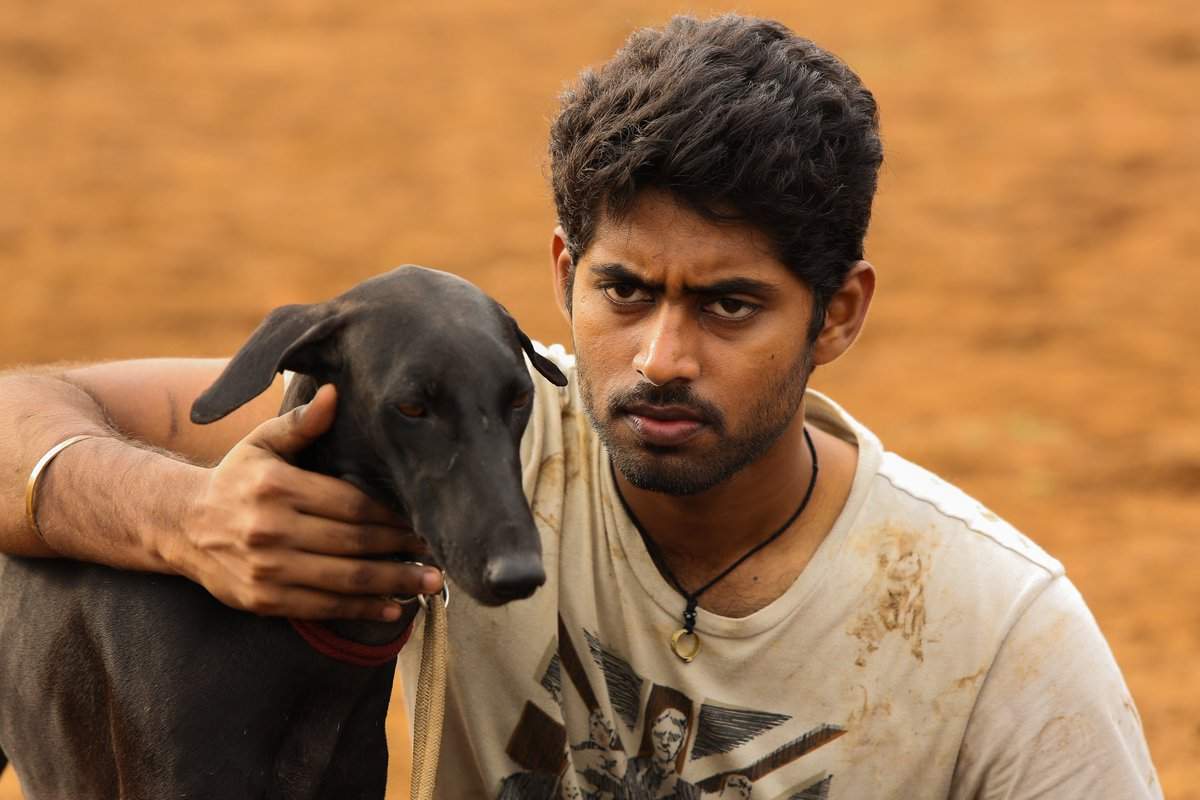 1200x800 Pariyerum Perumal: Blue is the warmest colour