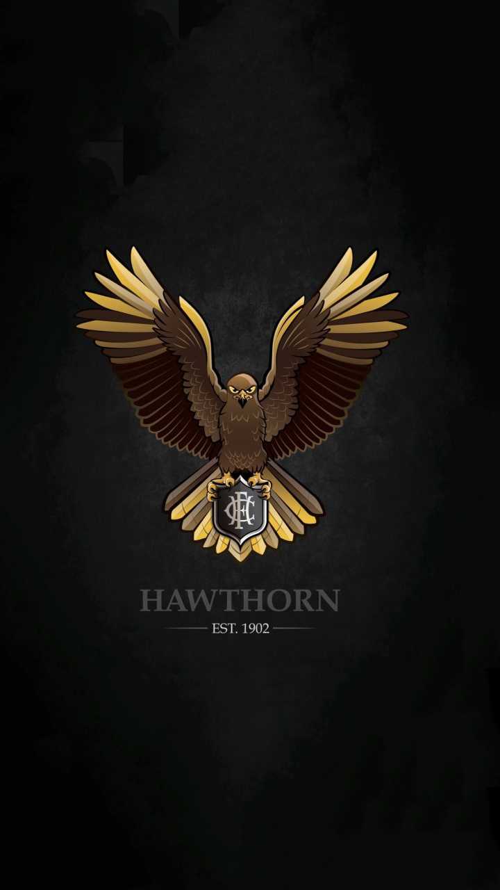 720x1280 Hawthorn Hawks Wallpaper