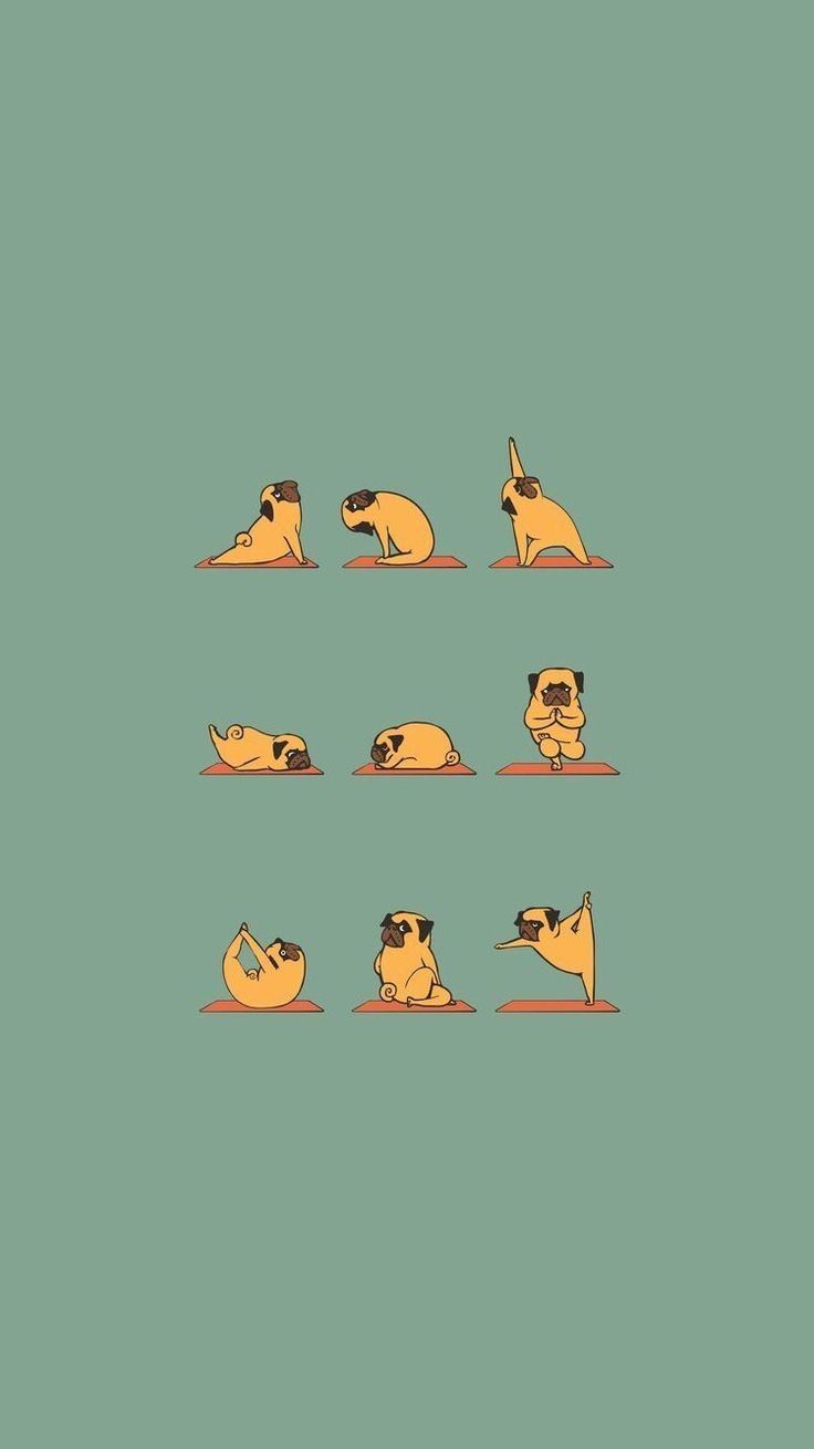 736x1309 Awesome Funny Aesthetic Wallpaper