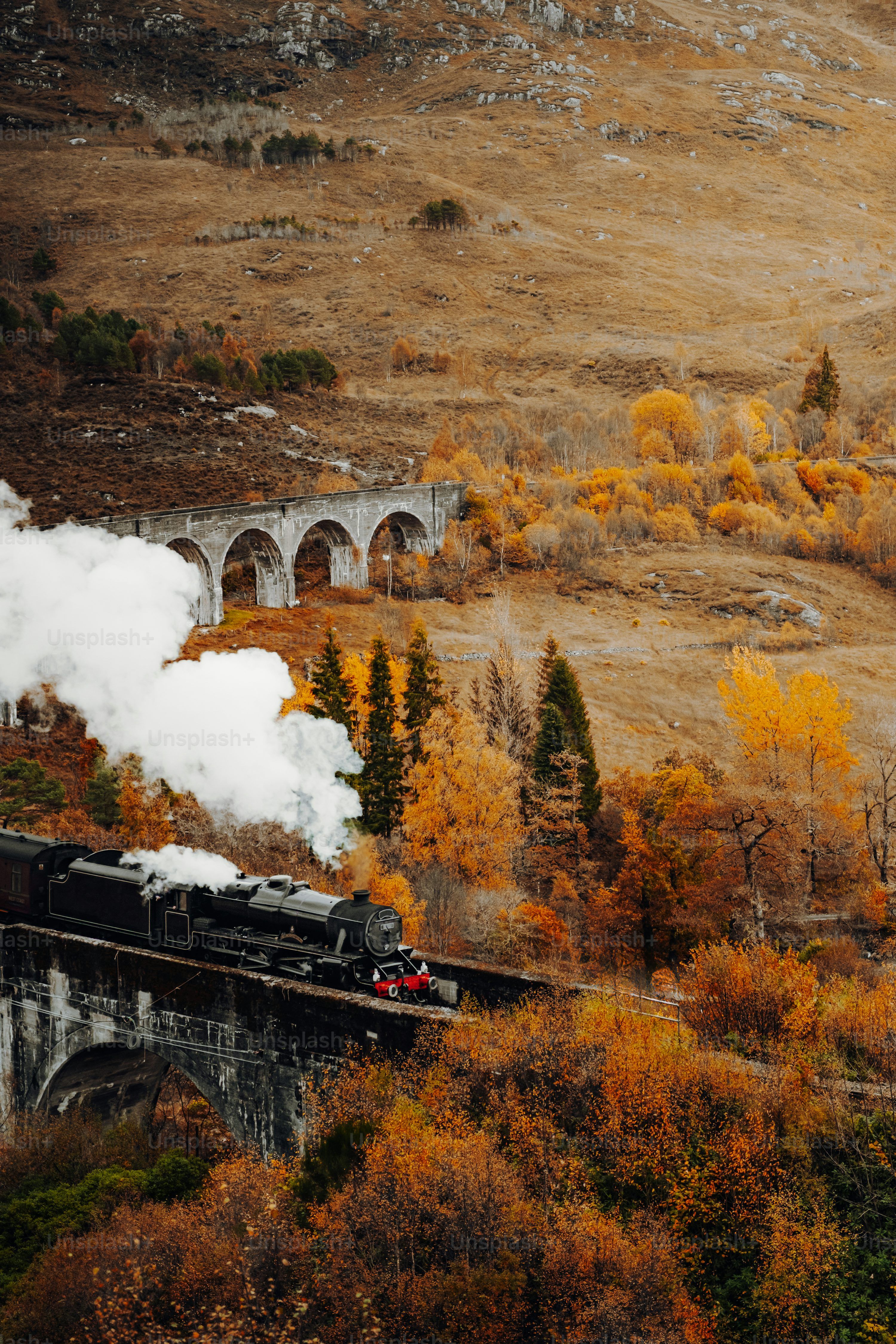 3000x4500 Orient Express Picture. Download Free Image